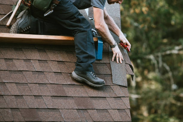 Roof Gutter Cleaning in Stillwater, MN